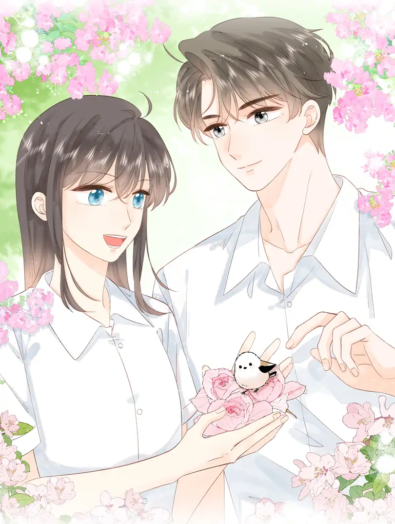 与你的时光